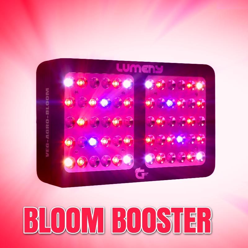 lumeny bloom booster